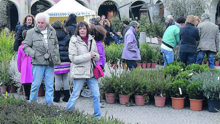 La Nazione: Il centro di Grosseto si trasforma in giardino con la «Primavera per la vita». Domenica protagonisti “I minatori del Giglio”